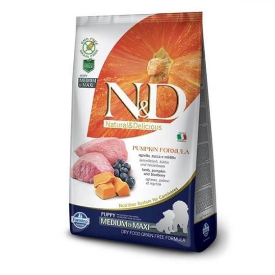 ND Tahılsız Bal Kabaklı ve Kuzu Etli Medium Maxi Yavru Köpek Maması 12 Kg