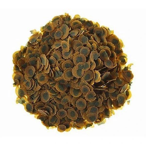 Tetra Pro Algae 100 Gr - Kovadan Bölme