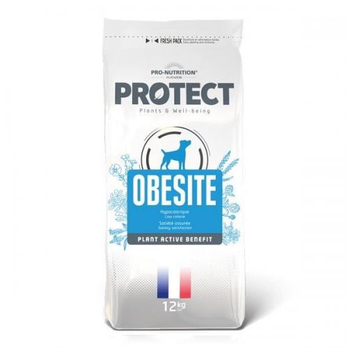 Pro Nutrition Protect Veterinary Obesite Kilo Kontrolü İçin Köpek Maması 12kg